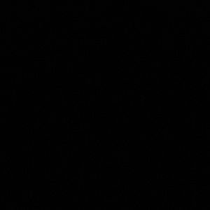 Meet your Posher, Alina